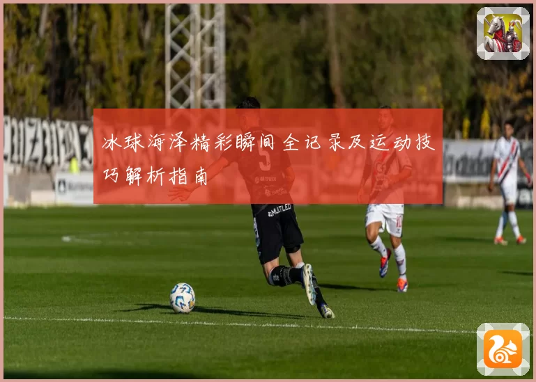 冰球海泽精彩瞬间全记录及运动技巧解析指南