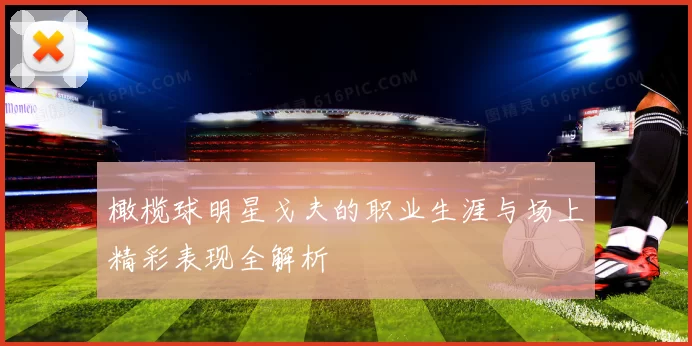 橄榄球明星戈夫的职业生涯与场上精彩表现全解析