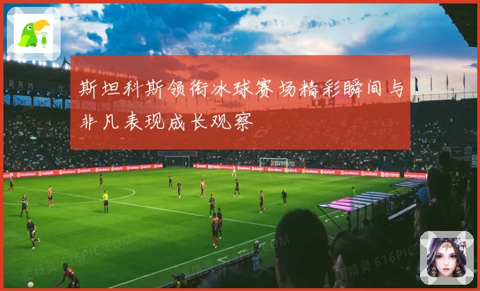 斯坦科斯领衔冰球赛场精彩瞬间与非凡表现成长观察