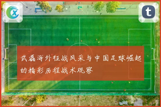 武磊海外征战风采与中国足球崛起的精彩历程战术观察