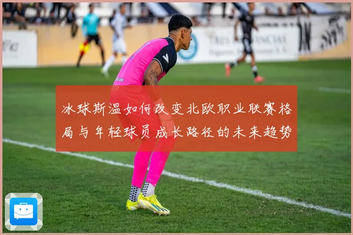 冰球斯温如何改变北欧职业联赛格局与年轻球员成长路径的未来趋势成长观察