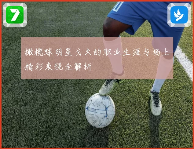橄榄球明星戈夫的职业生涯与场上精彩表现全解析