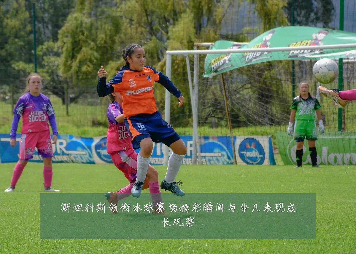 斯坦科斯领衔冰球赛场精彩瞬间与非凡表现成长观察